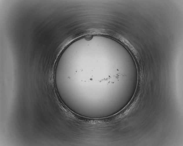 X0000116861089200912291255