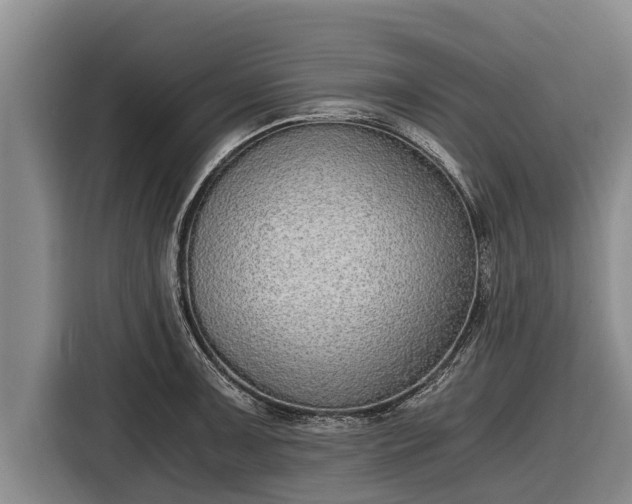 X0000116861091200912291255