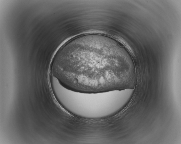 X0000116861092200912291255