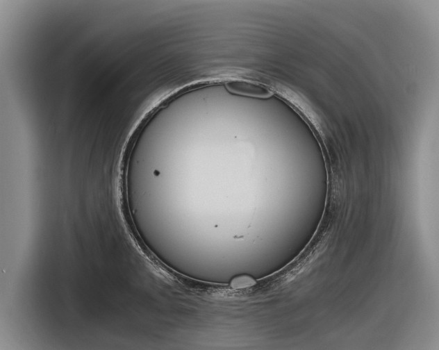 X0000116861093200912291255