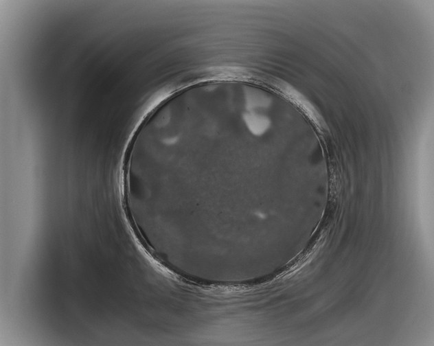 X0000116861095200912291255