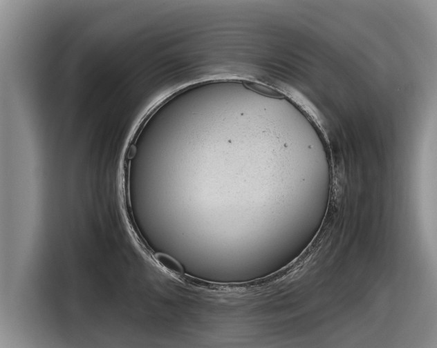 X0000116861096200912291255