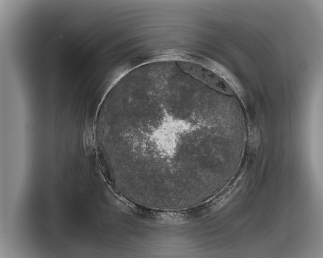 X0000116861097200912291255