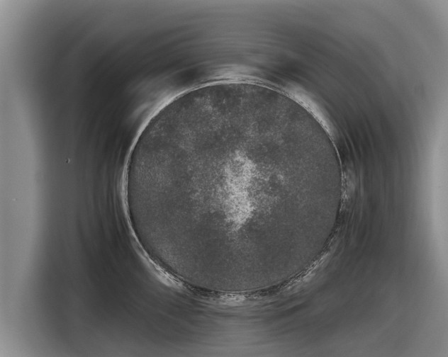 X0000116861098200912291255