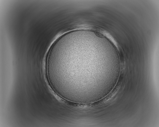 X0000116861099200912291255