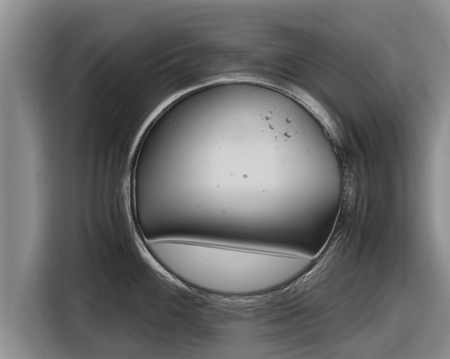 X0000116861100200912291255