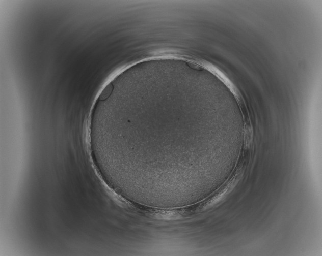 X0000116861101200912291255