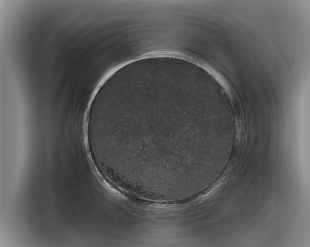 X0000116861102200912291255