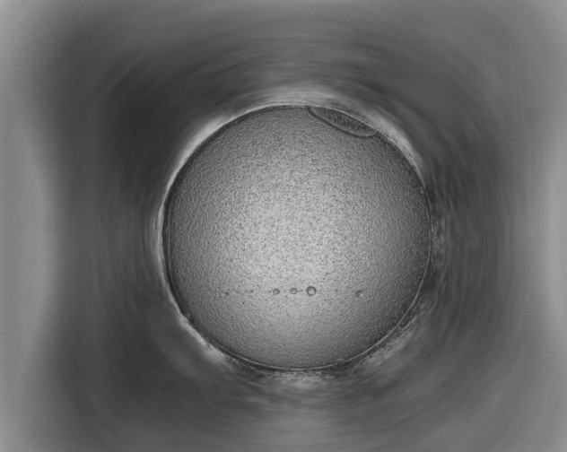 X0000116861103200912291255