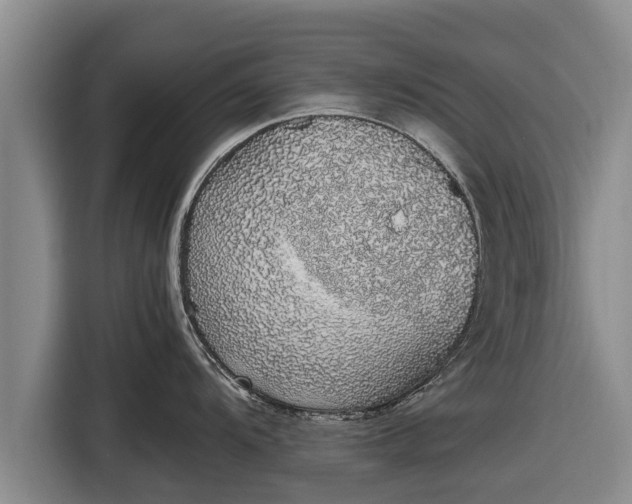 X0000116861104200912291255