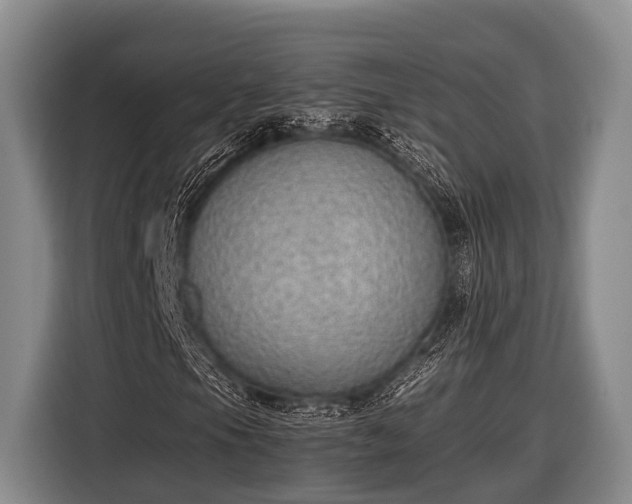 X0000116861105200912291254