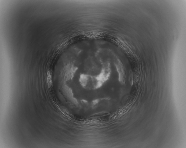 X0000116861106200912291254