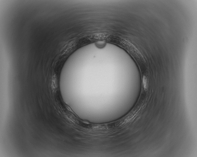 X0000116861107200912291254