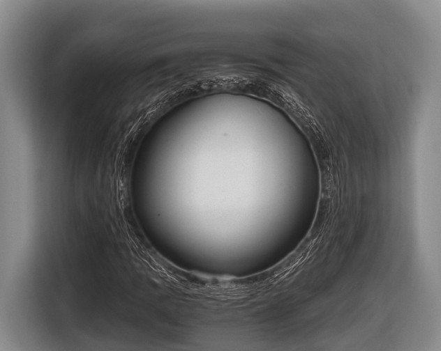 X0000116861109200912291254