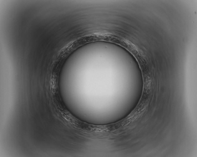 X0000116861110200912291254