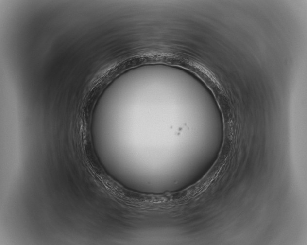 X0000116861111200912291254