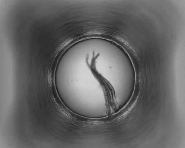 X0000116861113200912291254