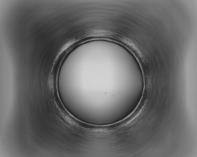 X0000116861114200912291254