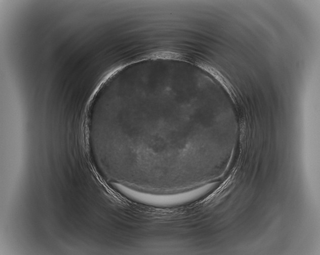 X0000116861115200912291254