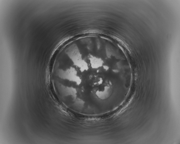 X0000116861117200912291254