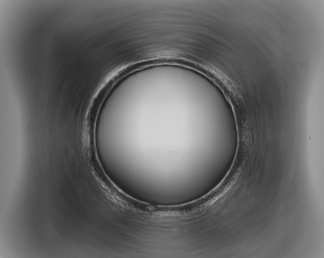 X0000116861118200912291254