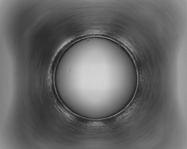 X0000116861119200912291254