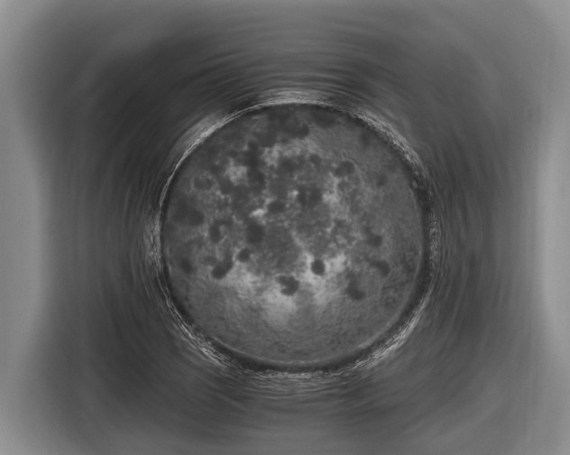 X0000116861121200912291254