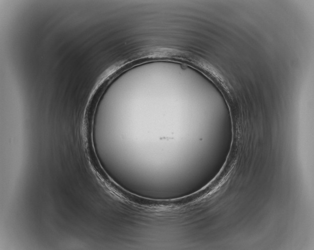 X0000116861122200912291254