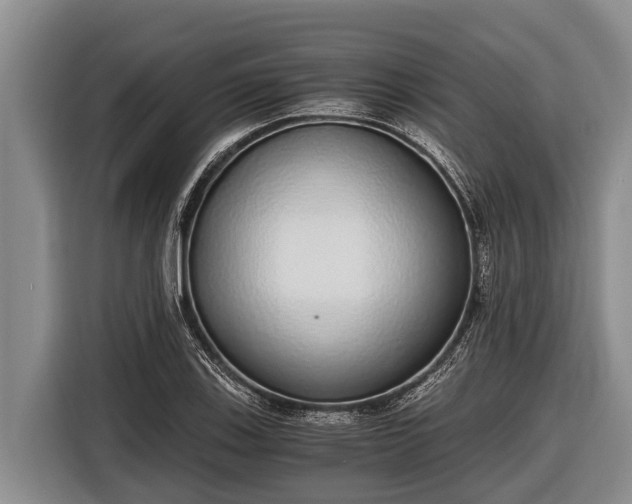 X0000116861123200912291254