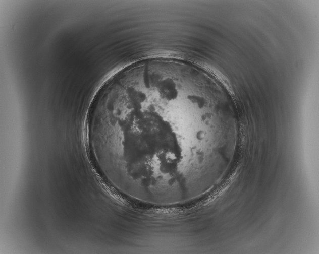 X0000116861125200912291254