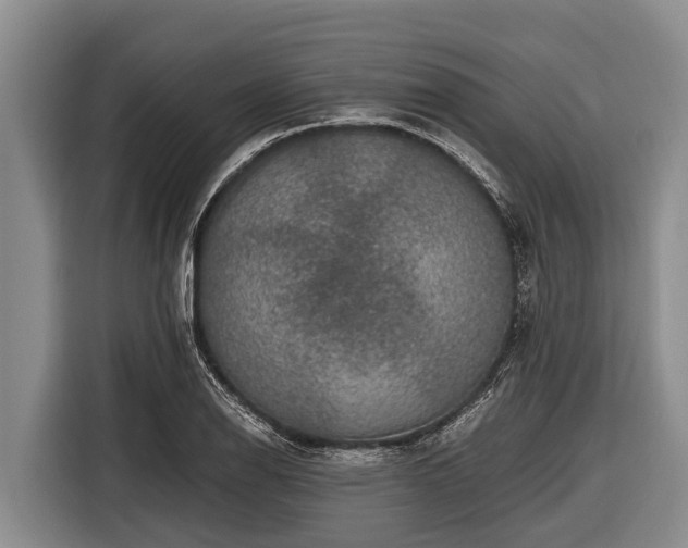 X0000116861126200912291254