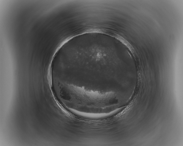 X0000116861127200912291254