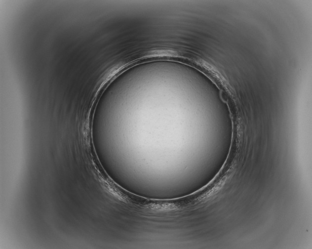 X0000116861129200912291254