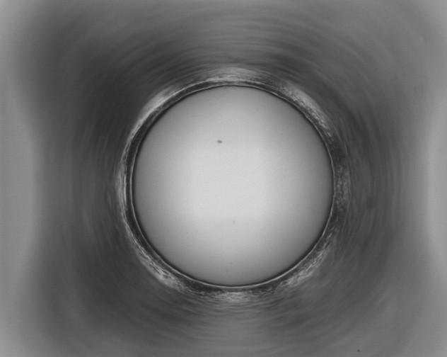 X0000116861130200912291254