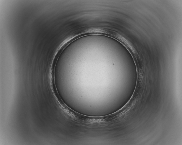 X0000116861133200912291254