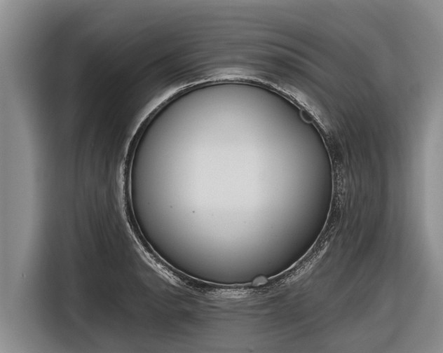 X0000116861134200912291254