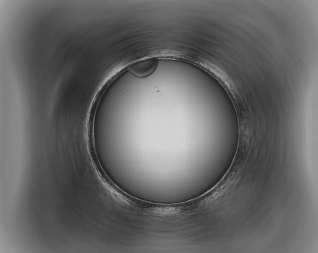 X0000116861135200912291254