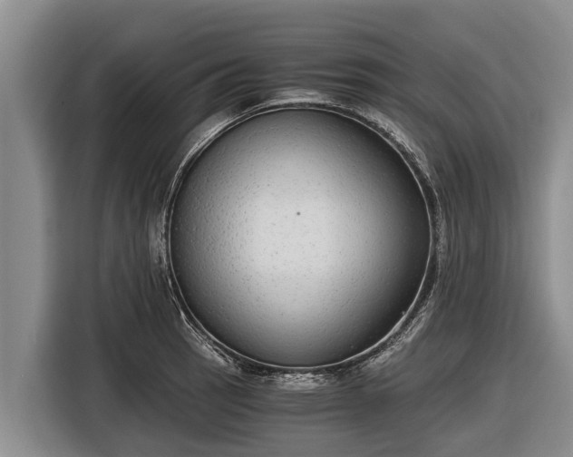 X0000116861137200912291254