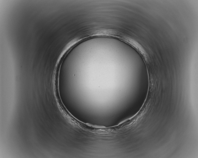 X0000116861138200912291254