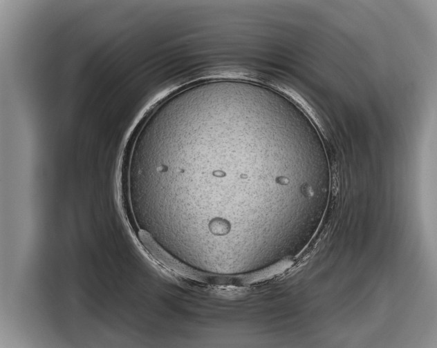 X0000116861139200912291254