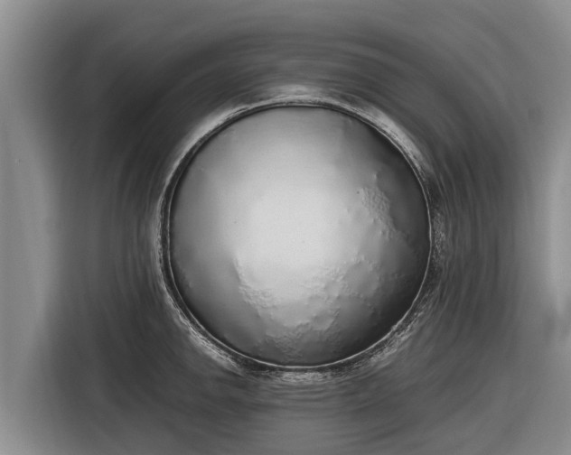 X0000116861142200912291255