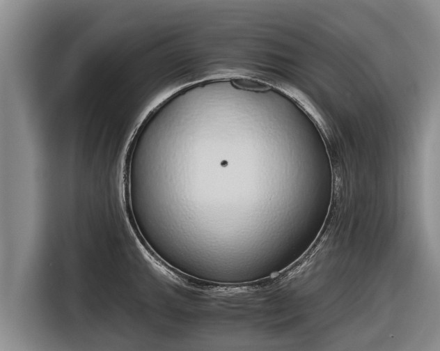 X0000116861143200912291255