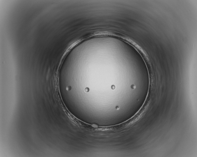 X0000116861145200912291255