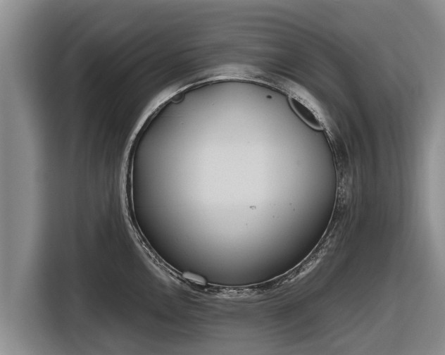 X0000116861146200912291255