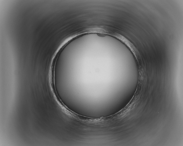 X0000116861147200912291255