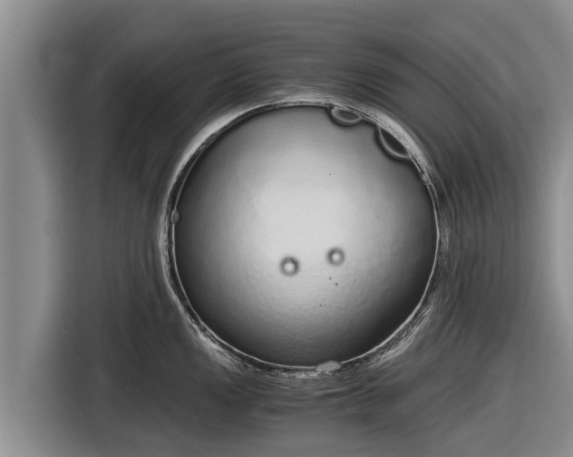 X0000116861149200912291255