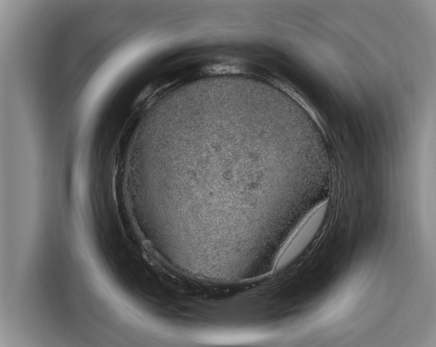 X0000116861151200912291255