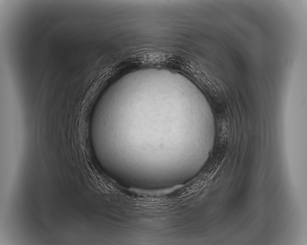 X0000116861153200912291254