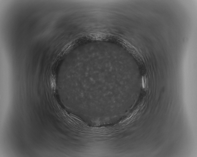 X0000116861155200912291254