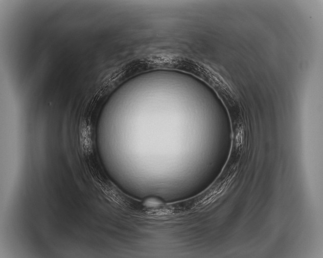 X0000116861156200912291254